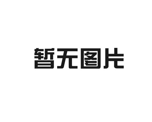 SDS011-001 可定制固定翼滑翔機(jī)數(shù)字金屬舵機(jī)